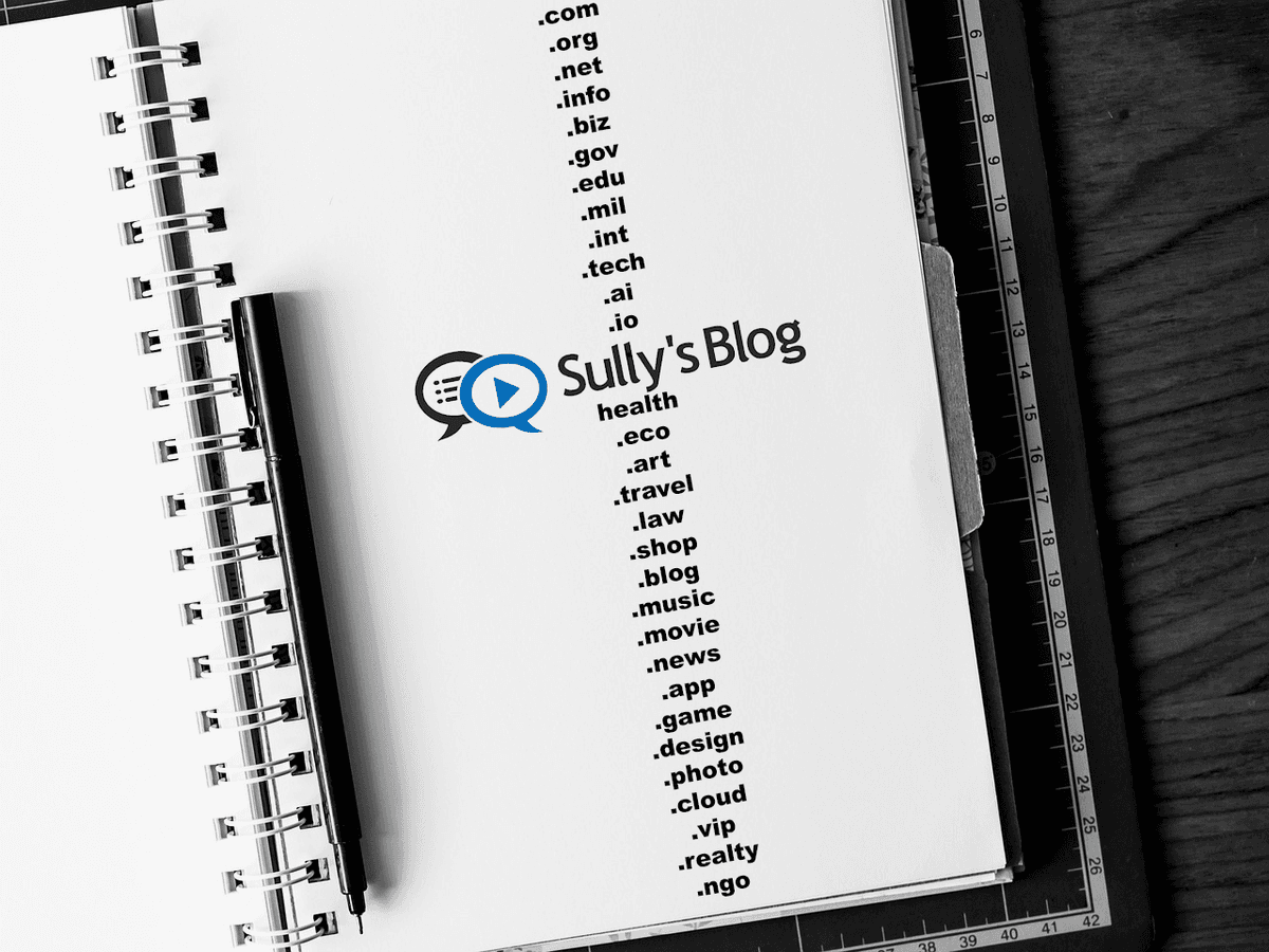 3 TLDs that found their Niche