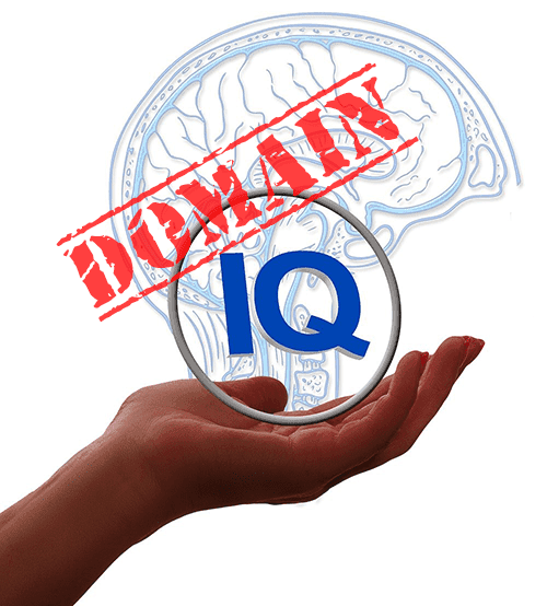 Your GoTo Tool for Domain Intelligence